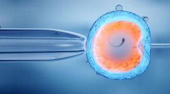 2026湖北试管婴儿医院排名，附成功率及费用介绍