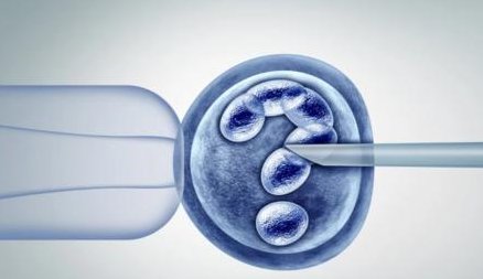 排卵障碍不容忽视，不孕大多是其原因！漠河市哪家医院擅长排卵障碍试管方案？