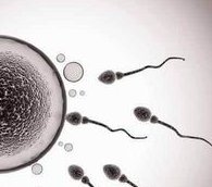 第二代试管婴儿费用高吗？全面解析其费用和流程