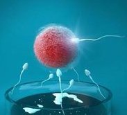 湖北十堰市人民医院做第三代试管婴儿吗？